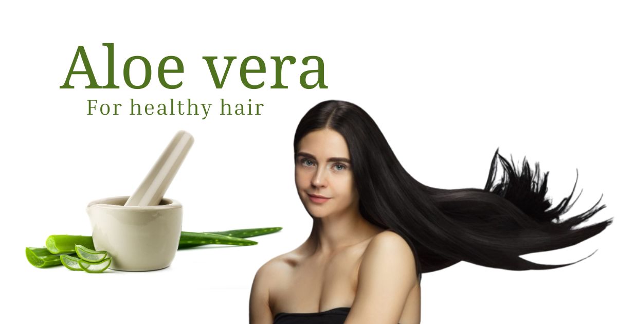 Unlock The Secret Is Aloe Vera Good For Hair Growth Skinflexible 6961